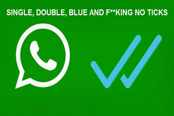 what does a double checkmark mean on whatsapp 3
